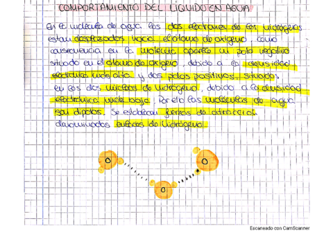 LOS-BIOELEMENTOS.pdf
