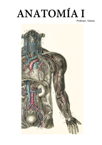 Anatomia-I.pdf