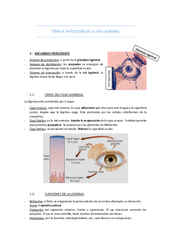 TEMA-4-PATOLOGIA-DE-LA-VIA-LAGRIMAL.pdf