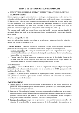 TEMA-6-Derecho-del-trabajo-II.pdf