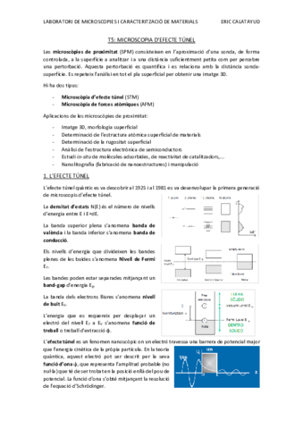 Apunts-T5-LM.pdf