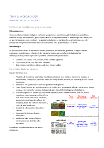 Tema-2.pdf