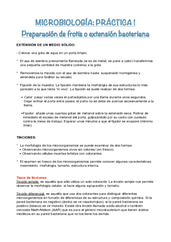 M.práctica frotis pdf.