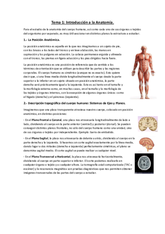 Tema-1-2-y-3.pdf