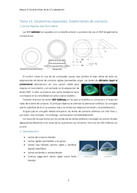 Tema 14. Diseños especiales.pdf