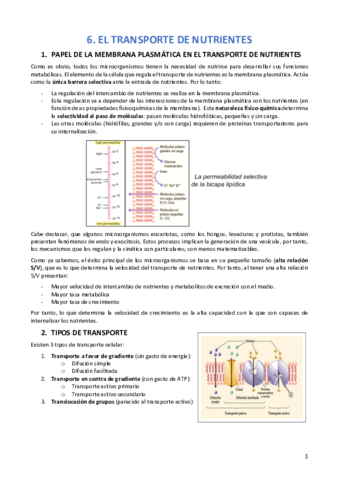 TEMA-6-MICRO.pdf