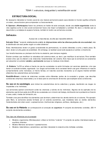 ESTRUCTURA-APUNTES.pdf