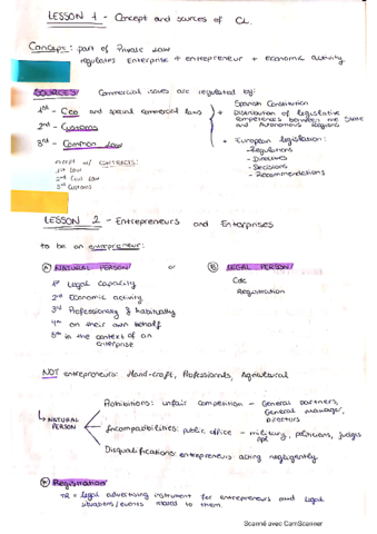 Temas-Commercial-Law-resumidos.pdf