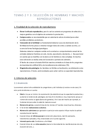 tema-2-y-3-.pdf