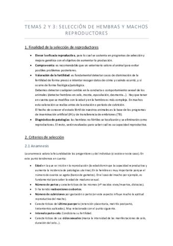 tema-2-y-3-.pdf