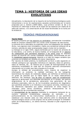 TEMA 1.pdf