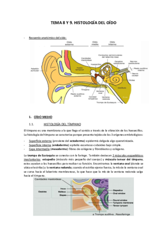 TEMA-8-y-9-HISTOLOGIA-DEL-OIDO.pdf