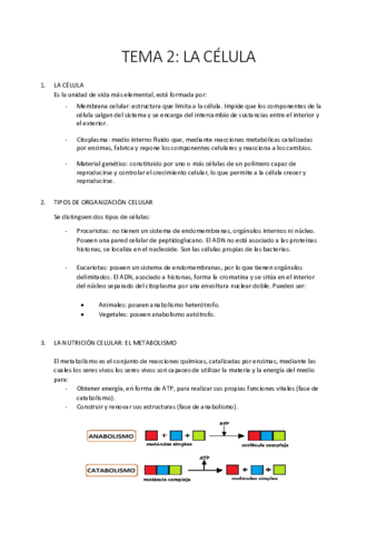 TEMA-2-La-celula-biologia.pdf