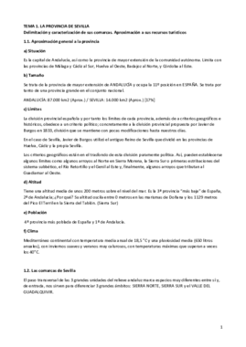 TEMA 1.pdf