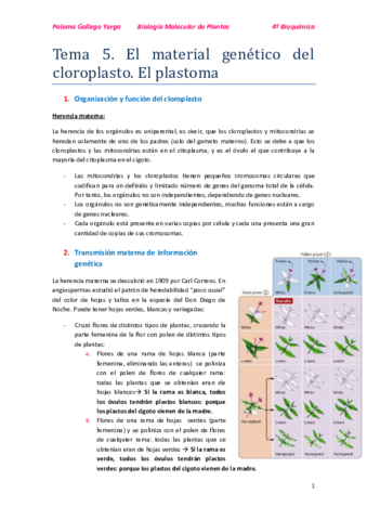 Tema 5. Material Genético del Cloroplasto. Paloma.pdf