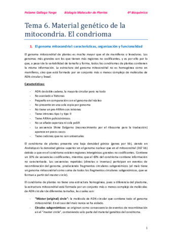 Tema 6. El condrioma. Paloma.pdf