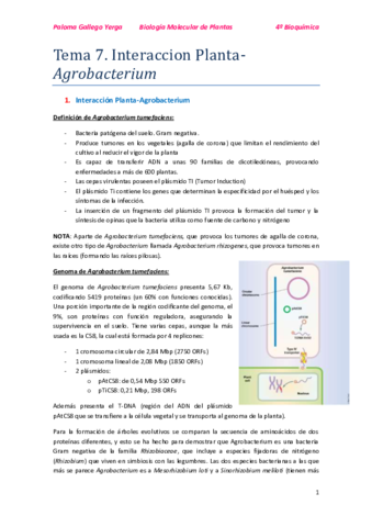Tema 7. Interacción planta-agrobacterium. Paloma.pdf