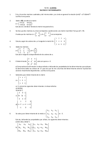 Matrices-y-determinantes.pdf