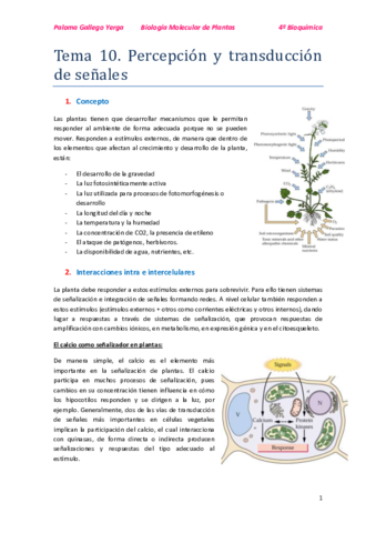 Tema 10. Percepción y transducción de señales. Paloma.pdf