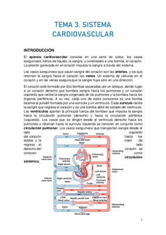 TEMA-3.pdf