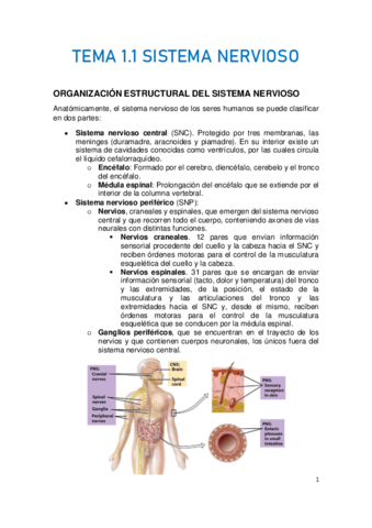 TEMA-1.pdf