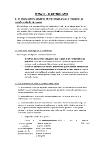 Tema-10-El-Catabolismo.pdf