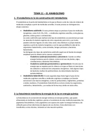 Tema-11-El-Anabolismo.pdf
