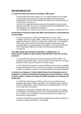 Preguntas-Examen.pdf