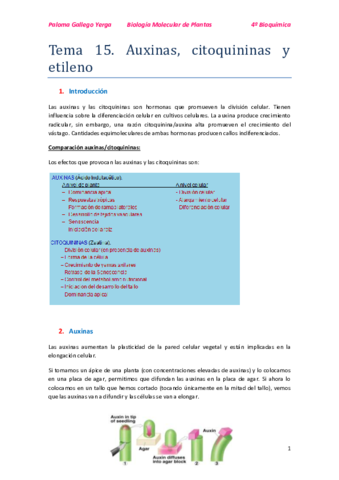 Tema 15. Auxinas citoquininas y etileno. Paloma.pdf
