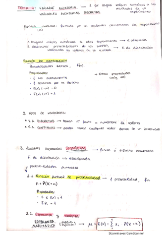 Resumen-Temario-Estadistica-II.pdf
