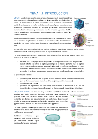 INERODUCCION-parte-frederic.pdf