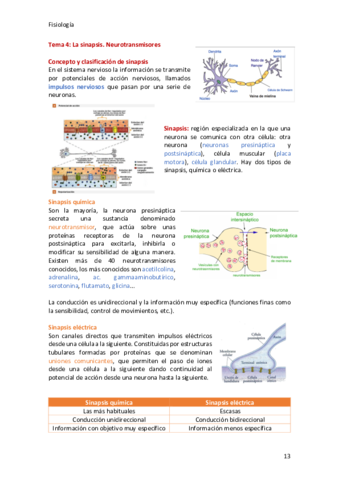 Fisiologia-tema-04.pdf