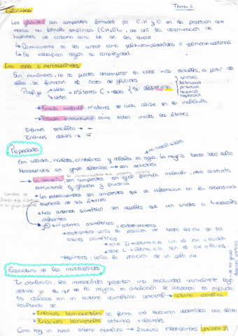 APUNTES-GLUCIDOS.pdf