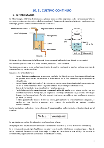 TEMA-10-MICRO.pdf