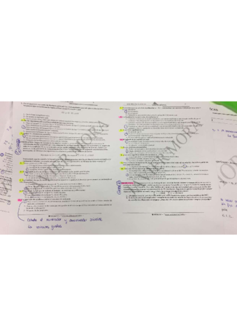 WhatsApp-Image-2017-11-24-at-09.pdf