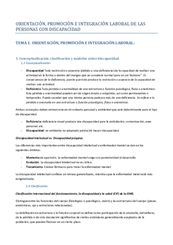Apuntes completos de OPL.pdf