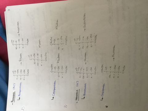 904548AF-9C4B-475D-9638-12F0570C6DC1.jpg