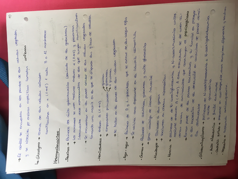 D3F1B2DE-B1B9-430B-972D-3C27ADC41BEF.jpg