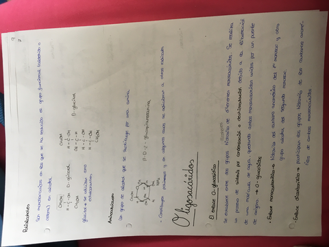 59CEEC17-B2DA-4762-A3C1-E87F76303502.jpg