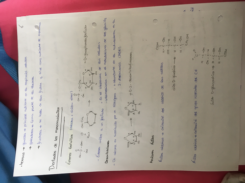 9B764CBC-A1B9-4E6F-BE52-9F9A30069CEE.jpg
