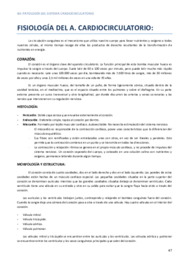 APUNTES COMPLETOS B3.pdf