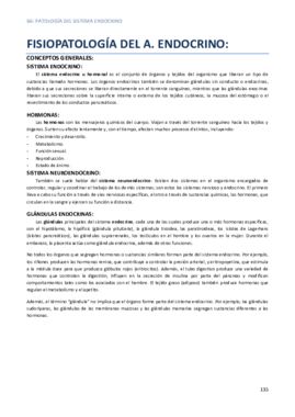 APUNTES COMPLETOS B6.pdf