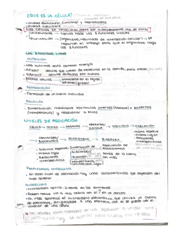 LAS-3-FUNCIONES-VITALES.pdf