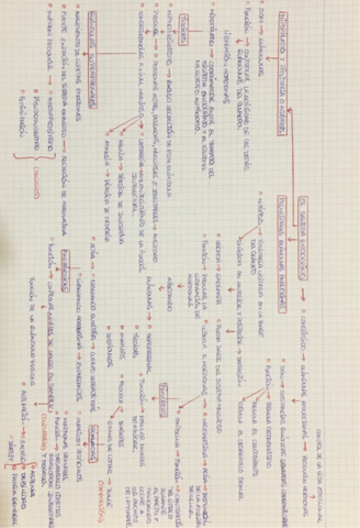 MAPA-MENTAL-DEL-SISTEMA-ENDOCRINO.pdf