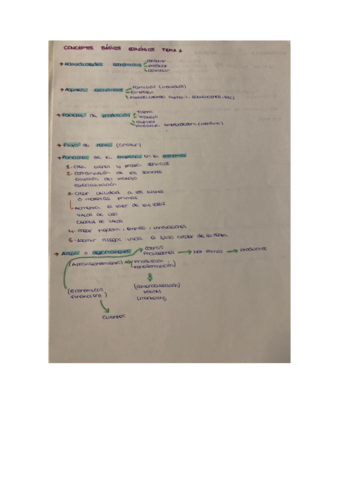 eco-wuoldh-1.pdf