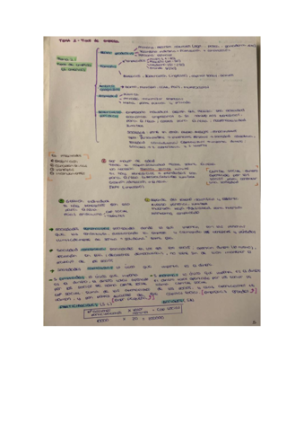 eco-2-woukd-2.pdf