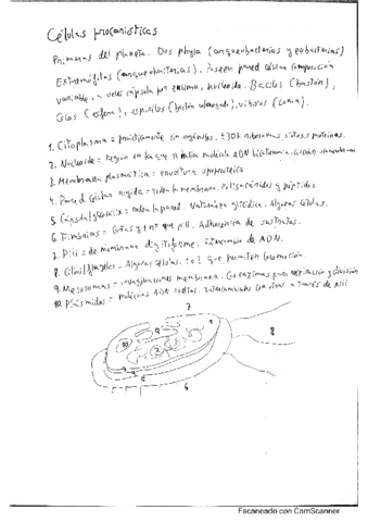 Celula-nucleo-cromosomas.pdf