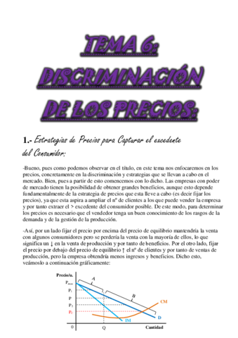 TEMA 6. Discriminación de los Precios.pdf