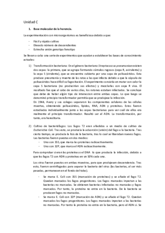 Unidad-C.pdf