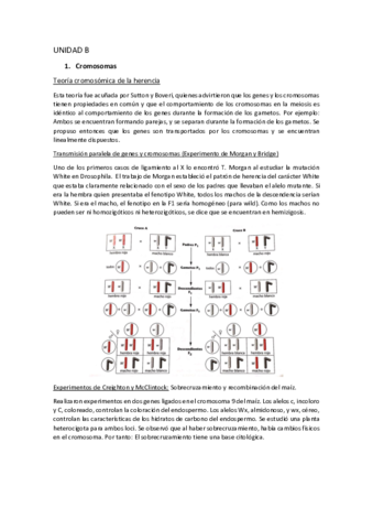 UNIDAD-B.pdf